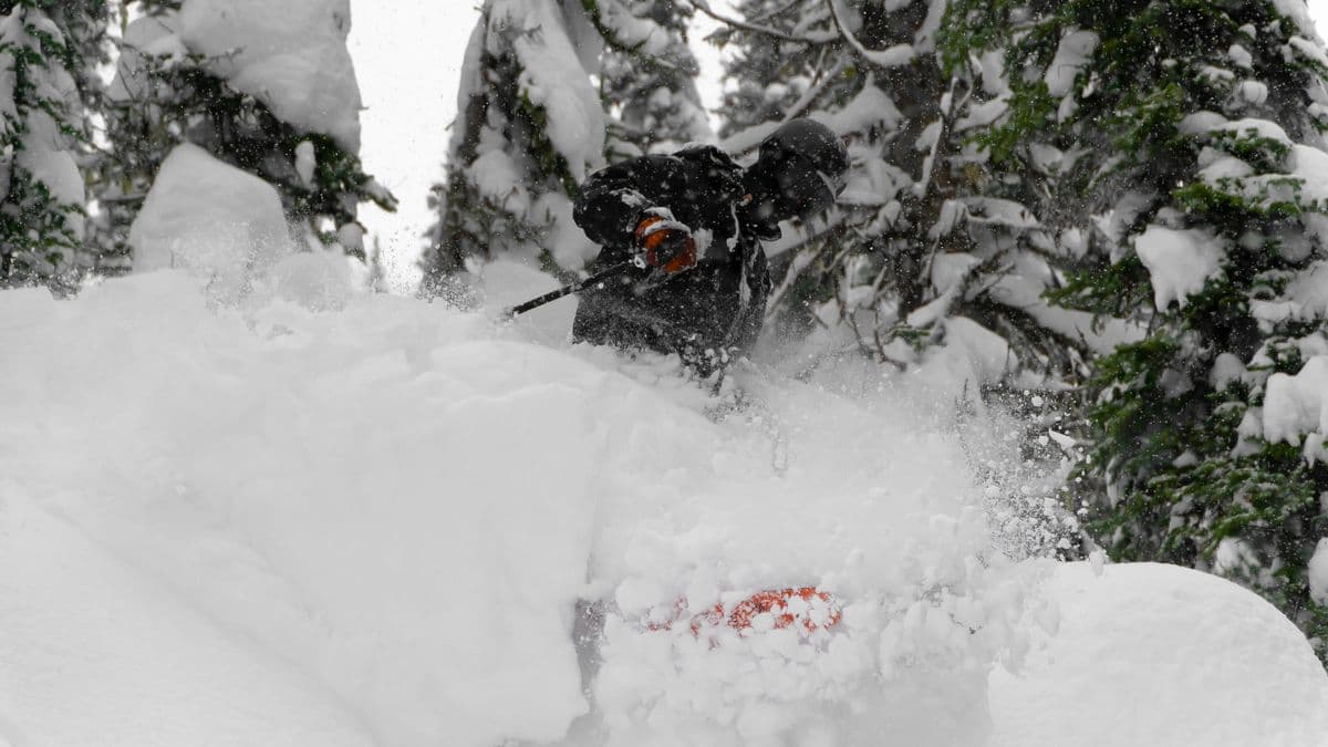 Skiing & powder guides