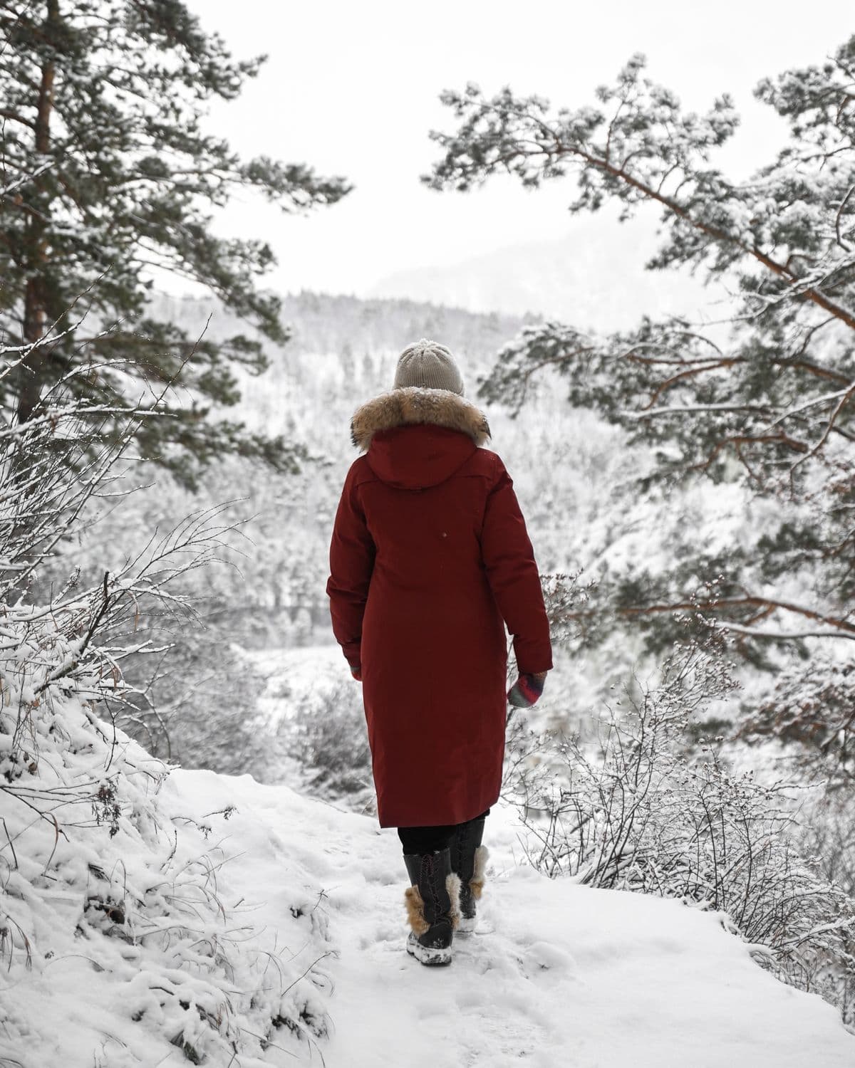 Snowshoe treks